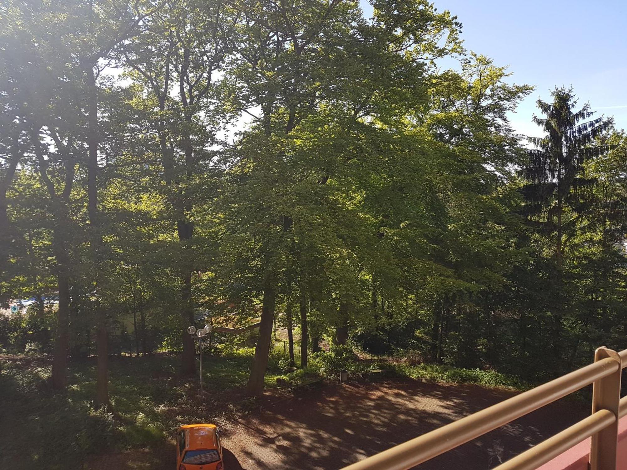 לאנשטיין Apartment 707 Mit Pool Und Sauna מראה חיצוני תמונה